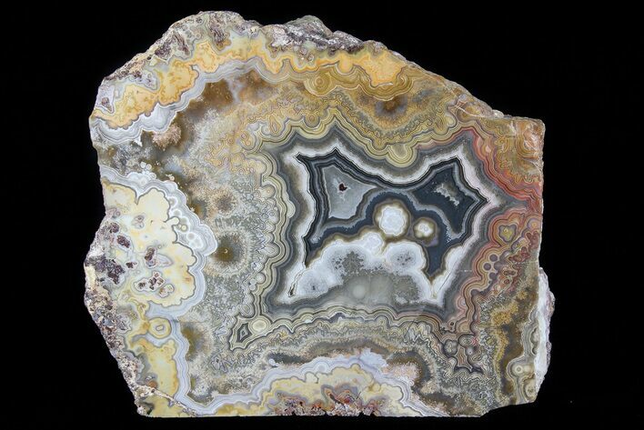 Polished Crazy Lace Agate Stand Up - Mexico #79735